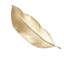 leaf 2@2x